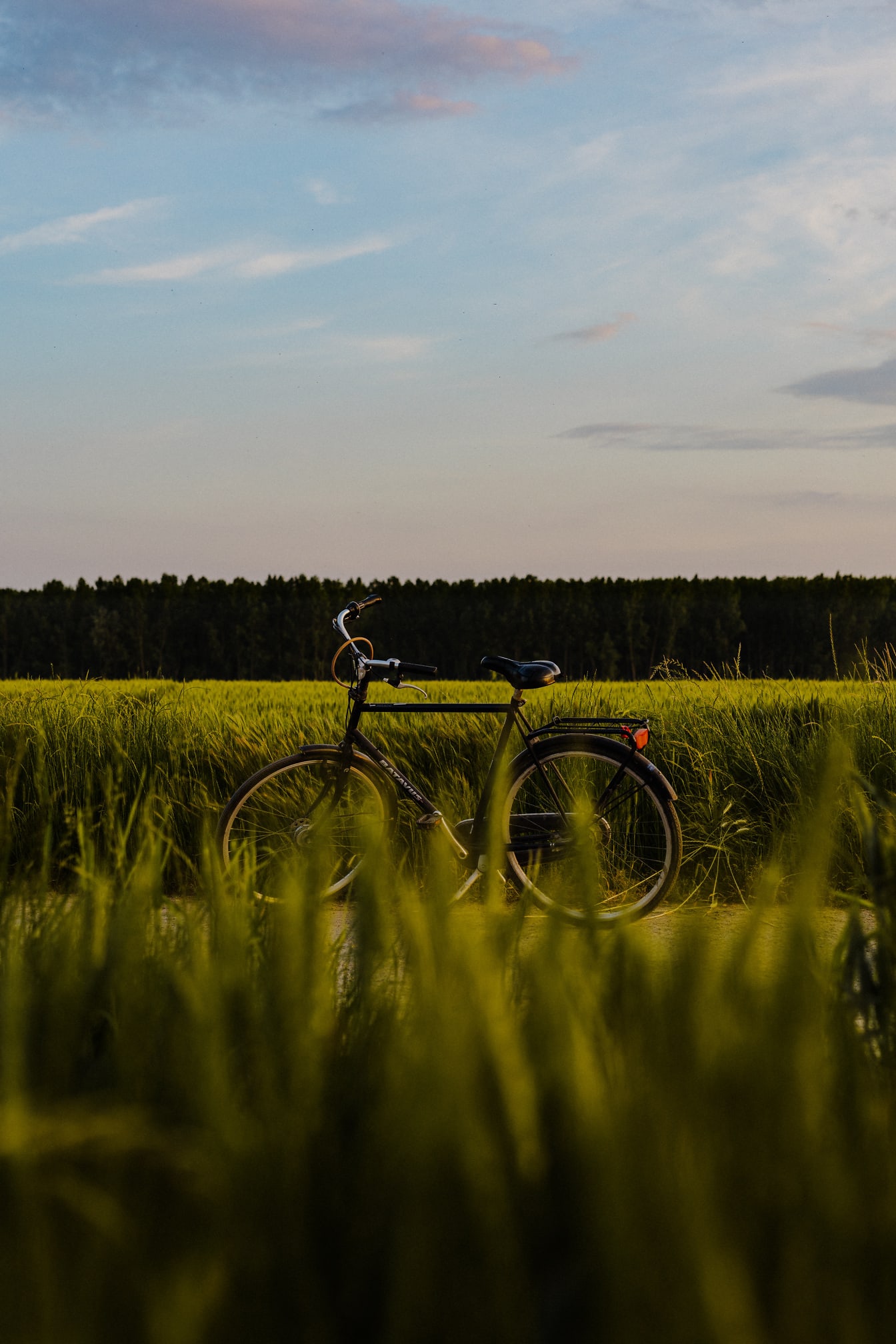 Musta polkupyörä maaseututiellä vihreän vehnäpellon rannalla
