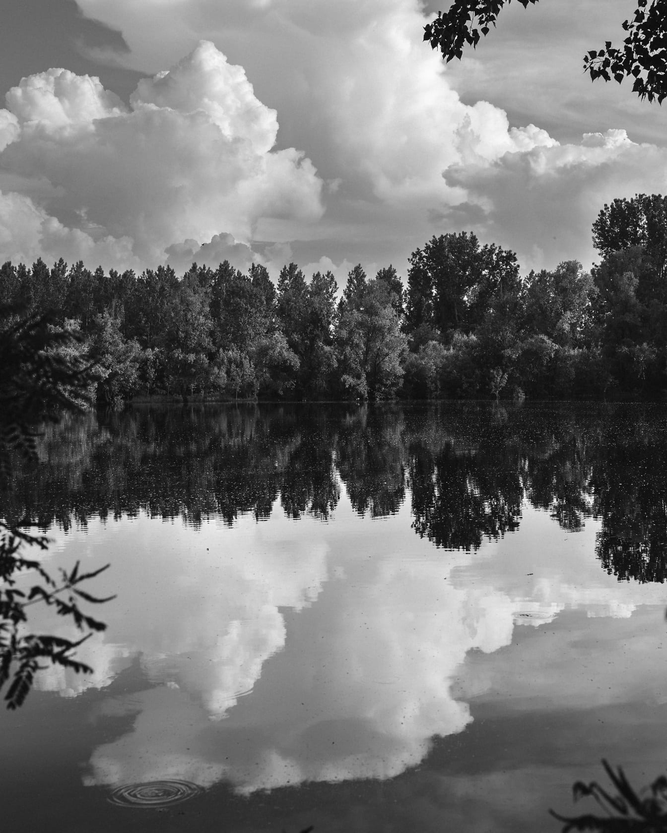 Čiernobiela fotografia krajiny pri jazere