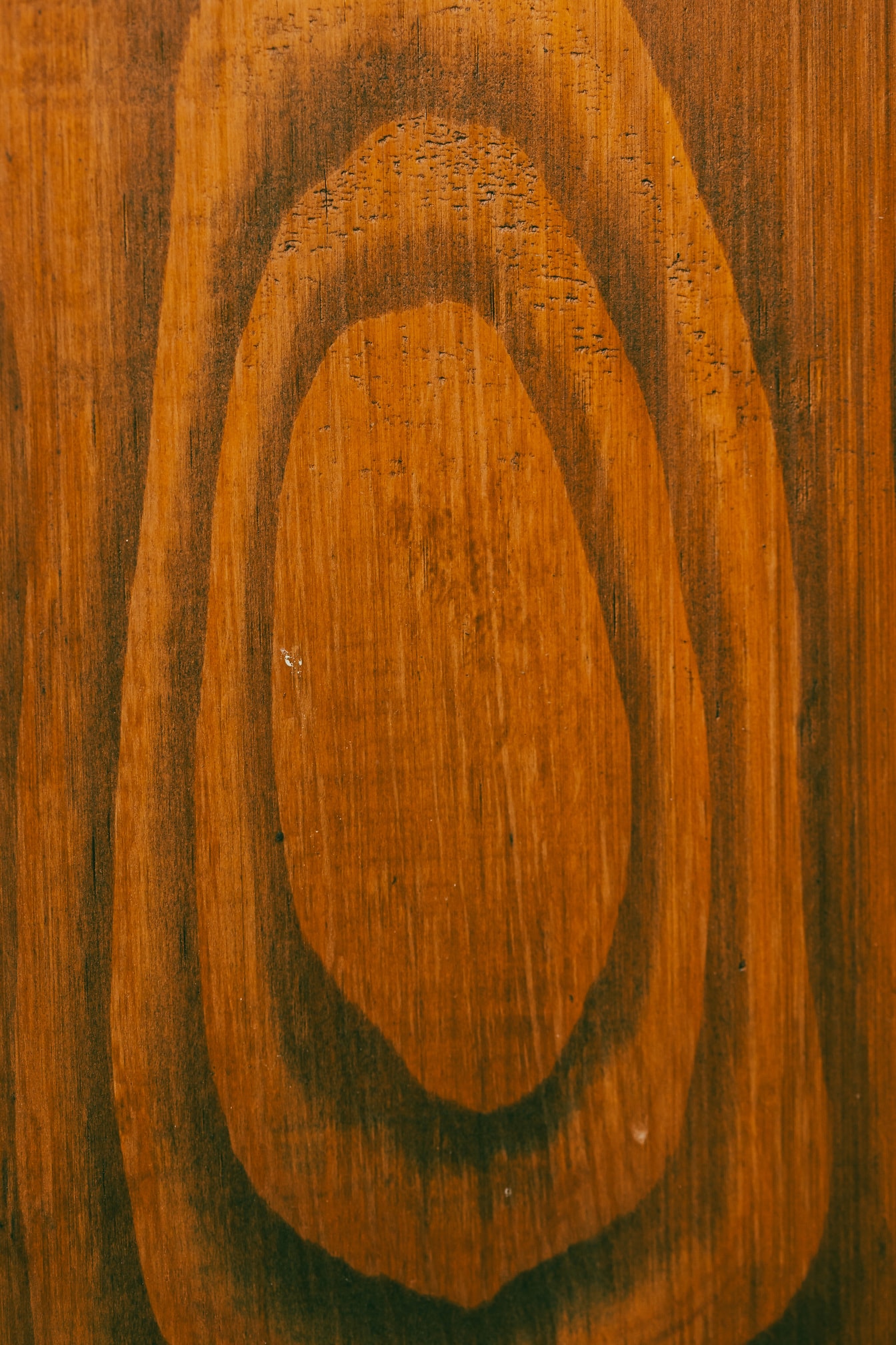 Närbild tvärsnitt av knut träplanka textur