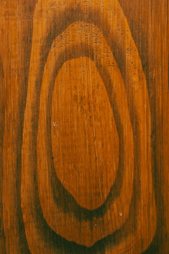 Close-up cross section of knot wooden plank texture