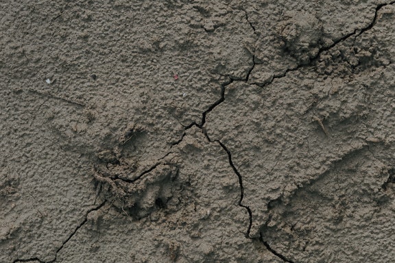 Dry mud in drought season close-up texture