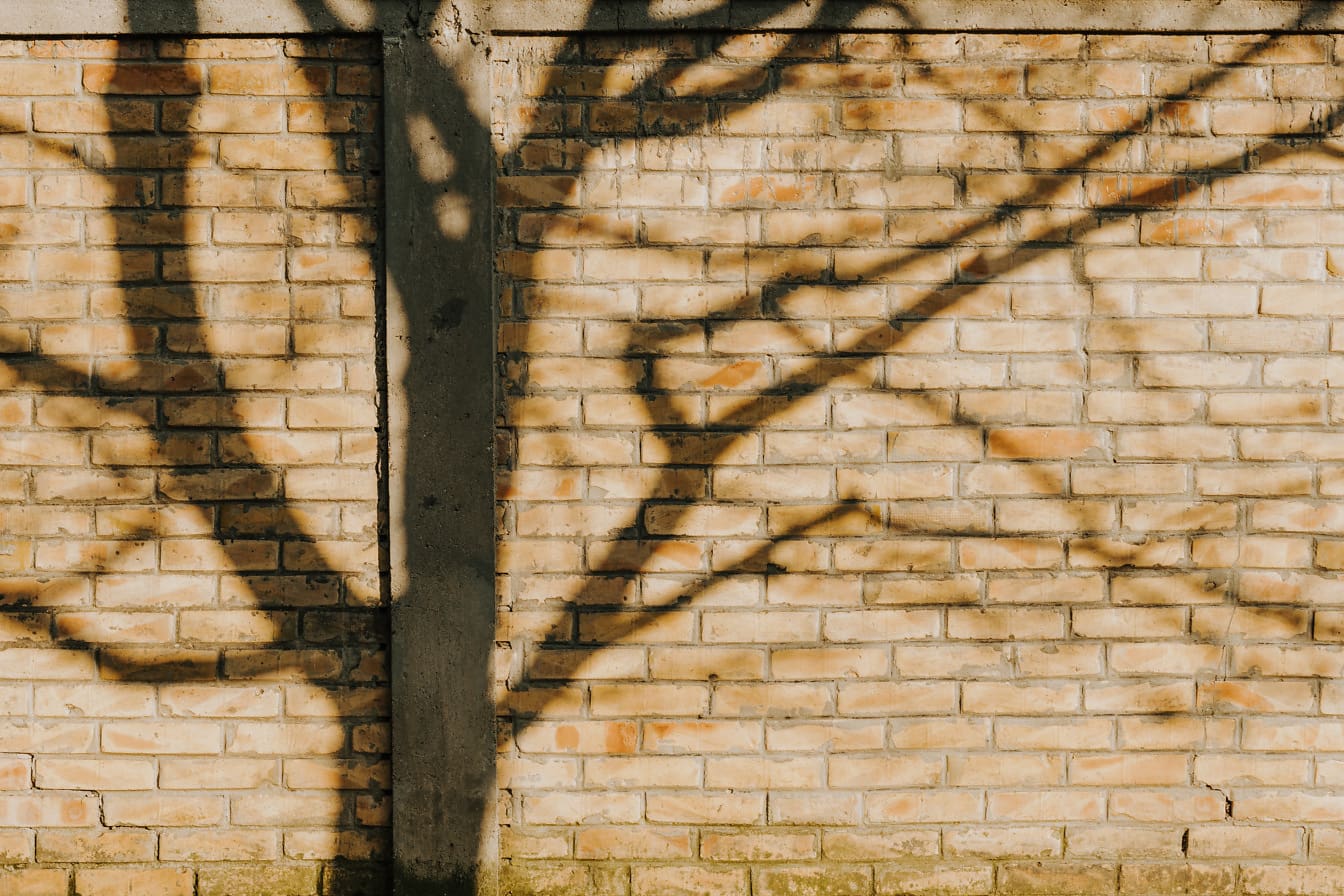 Ombra dell’albero sul muro di mattoni marrone chiaro