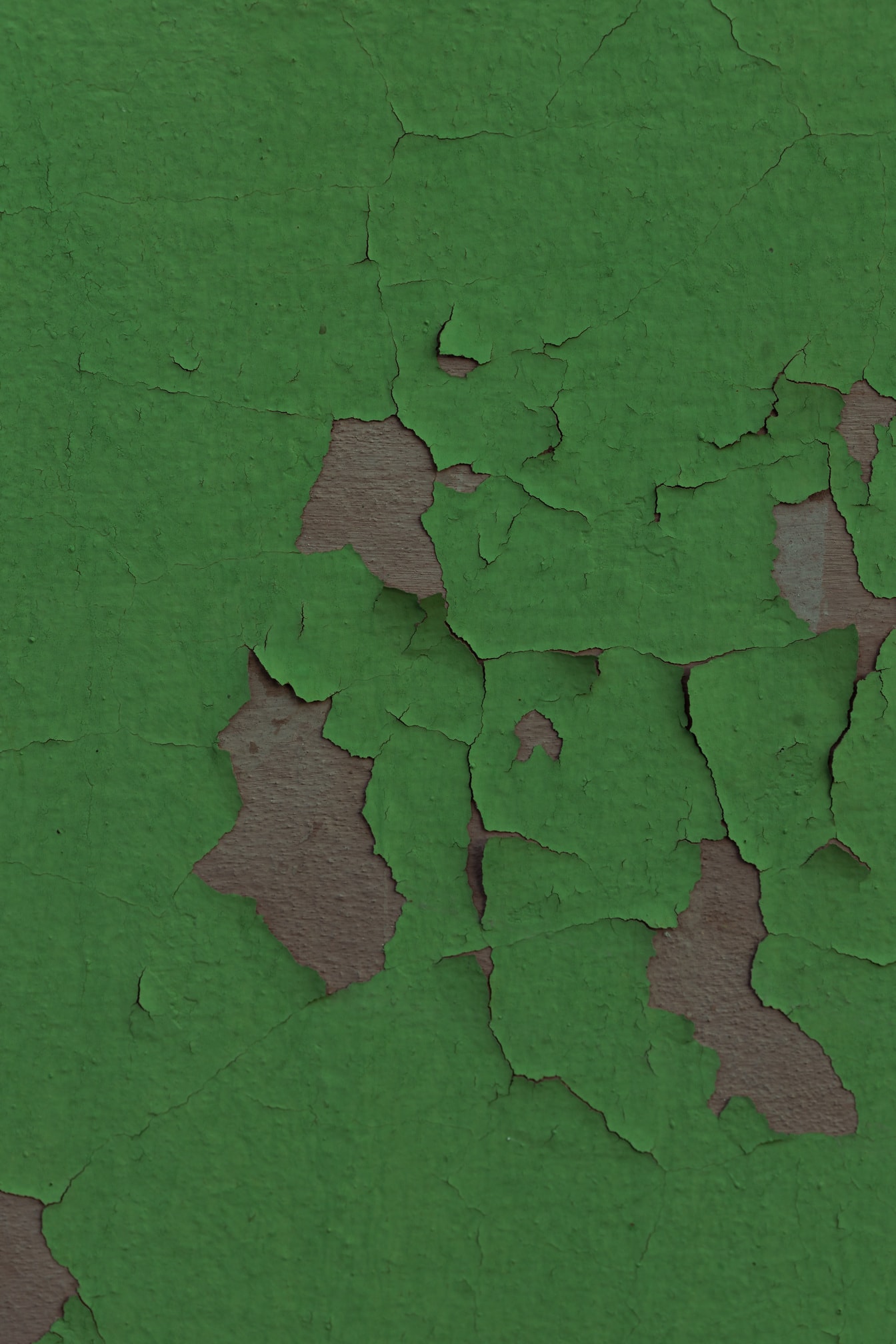 Cat lama berwarna hijau tua pada tekstur dinding close-up