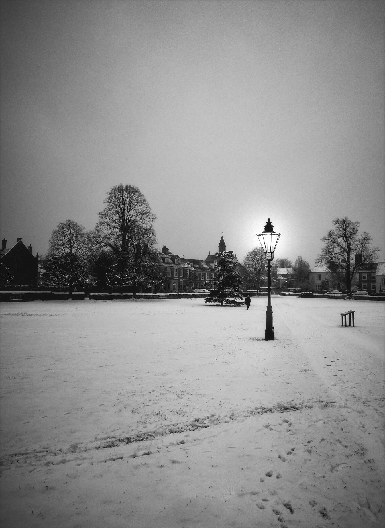 Salisbury vinter svart ana vitt foto av snöig park