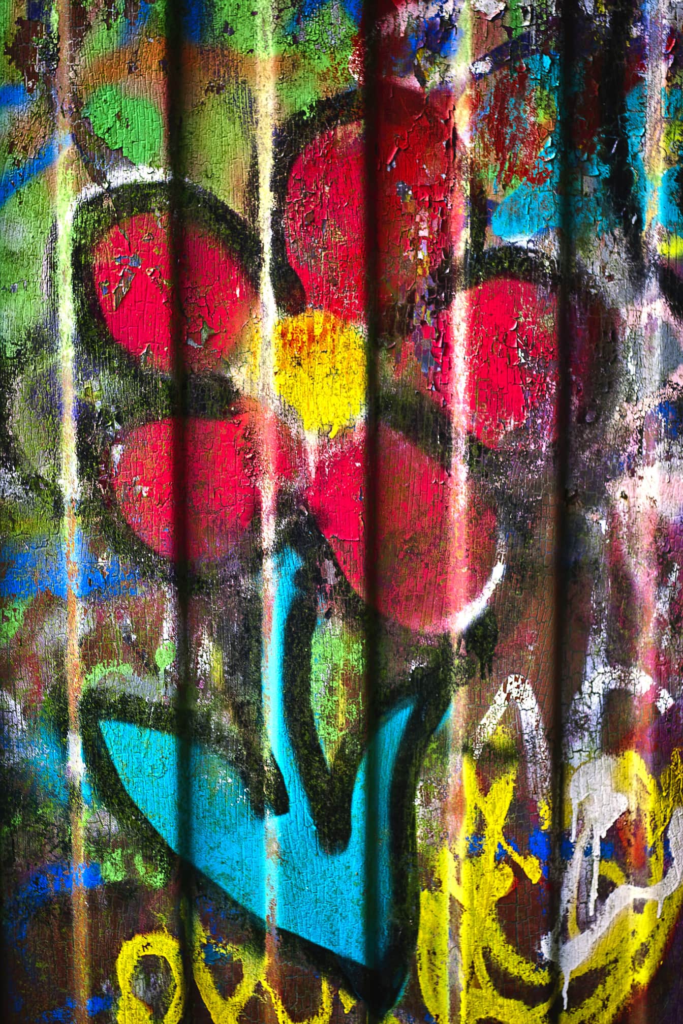 Cvijet s tamnocrvenim laticama grunge grafiti