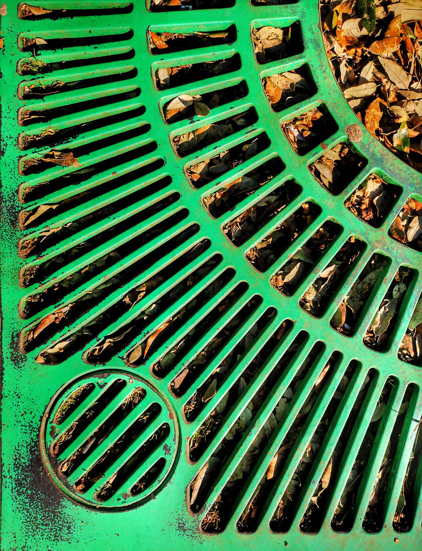 마른 잎이 있는 맨홀 뚜껑의 녹색 주철 격자