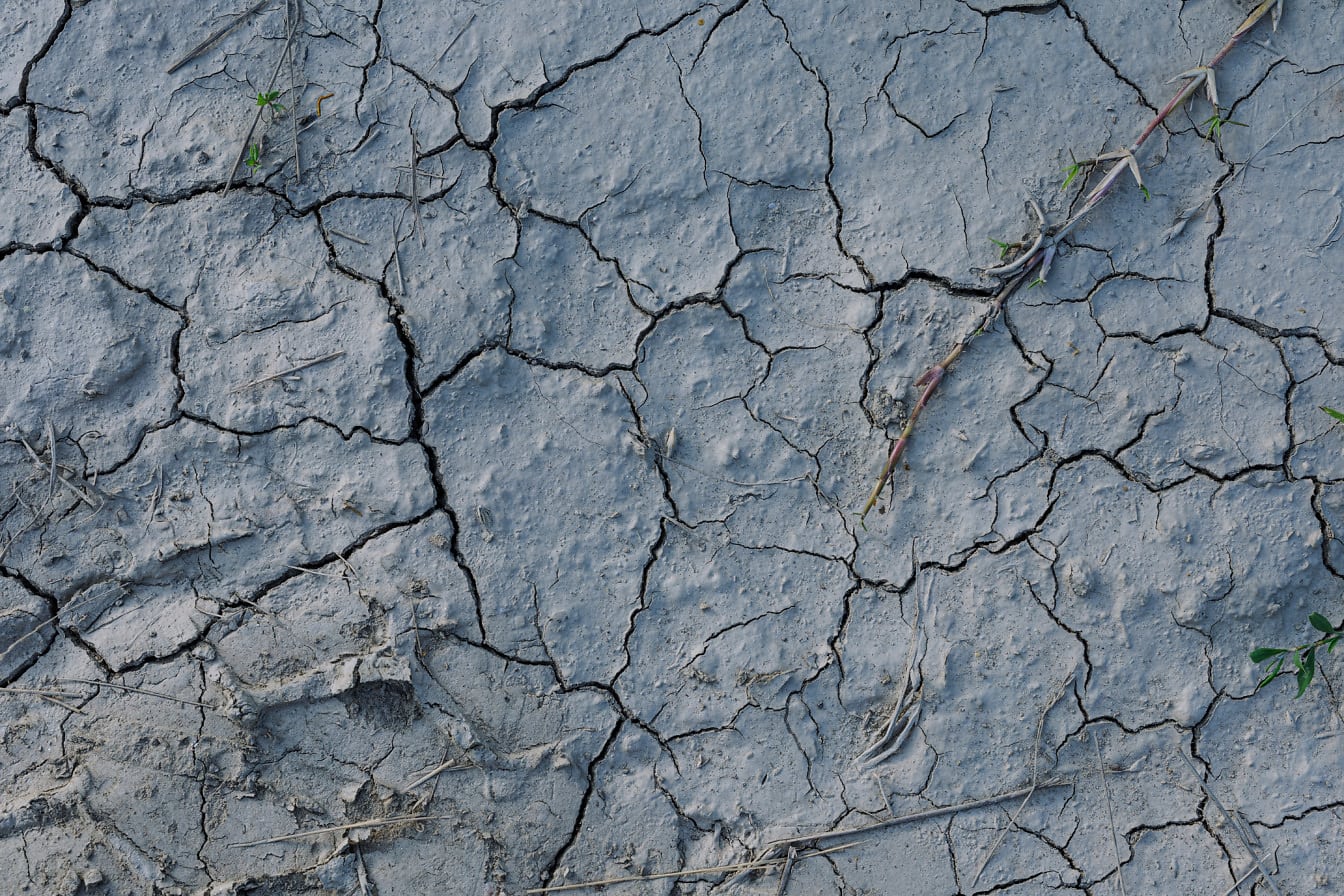 가뭄 시즌에 땅에 밝은 회색의 마른 진흙