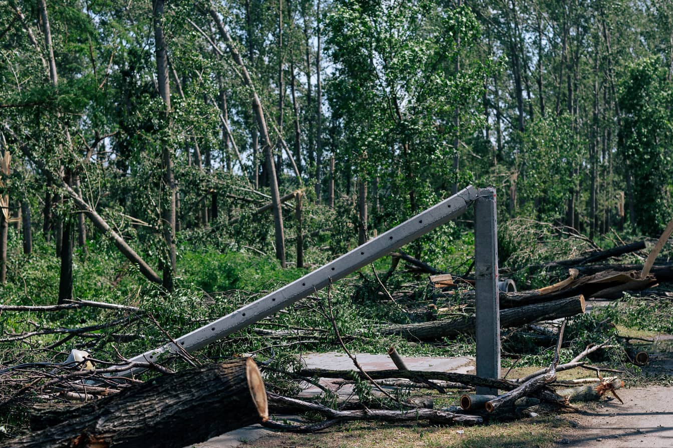 Hurikán poškodil betonový telefonní sloup a kmeny stromů
