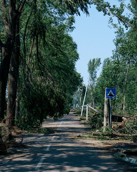 furacão, vento, danos, estrada, asfalto, poste telefônico, árvores