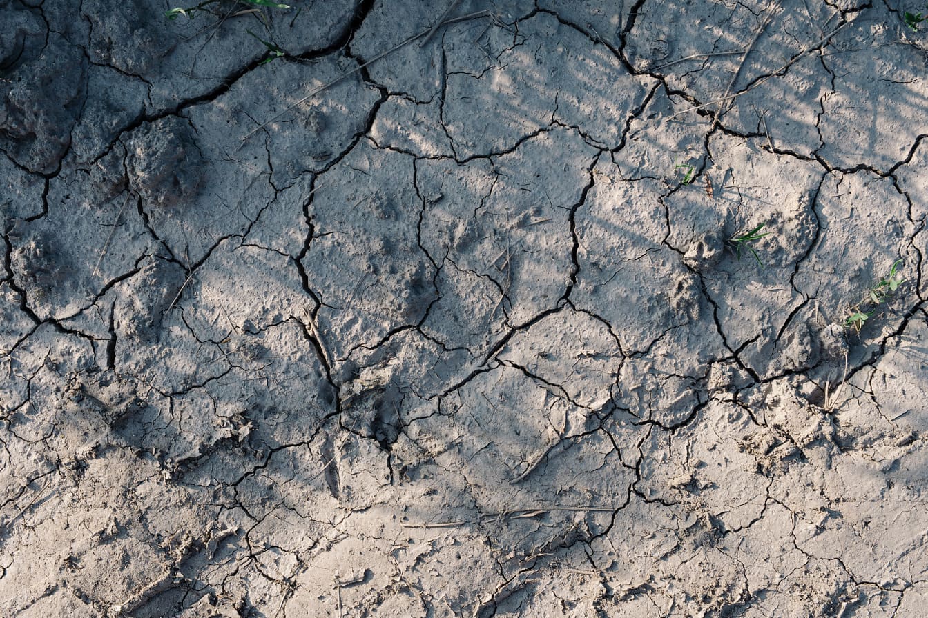โคลนหยาบสีเทาแห้งบนพื้นดินในฤดูแล้ง
