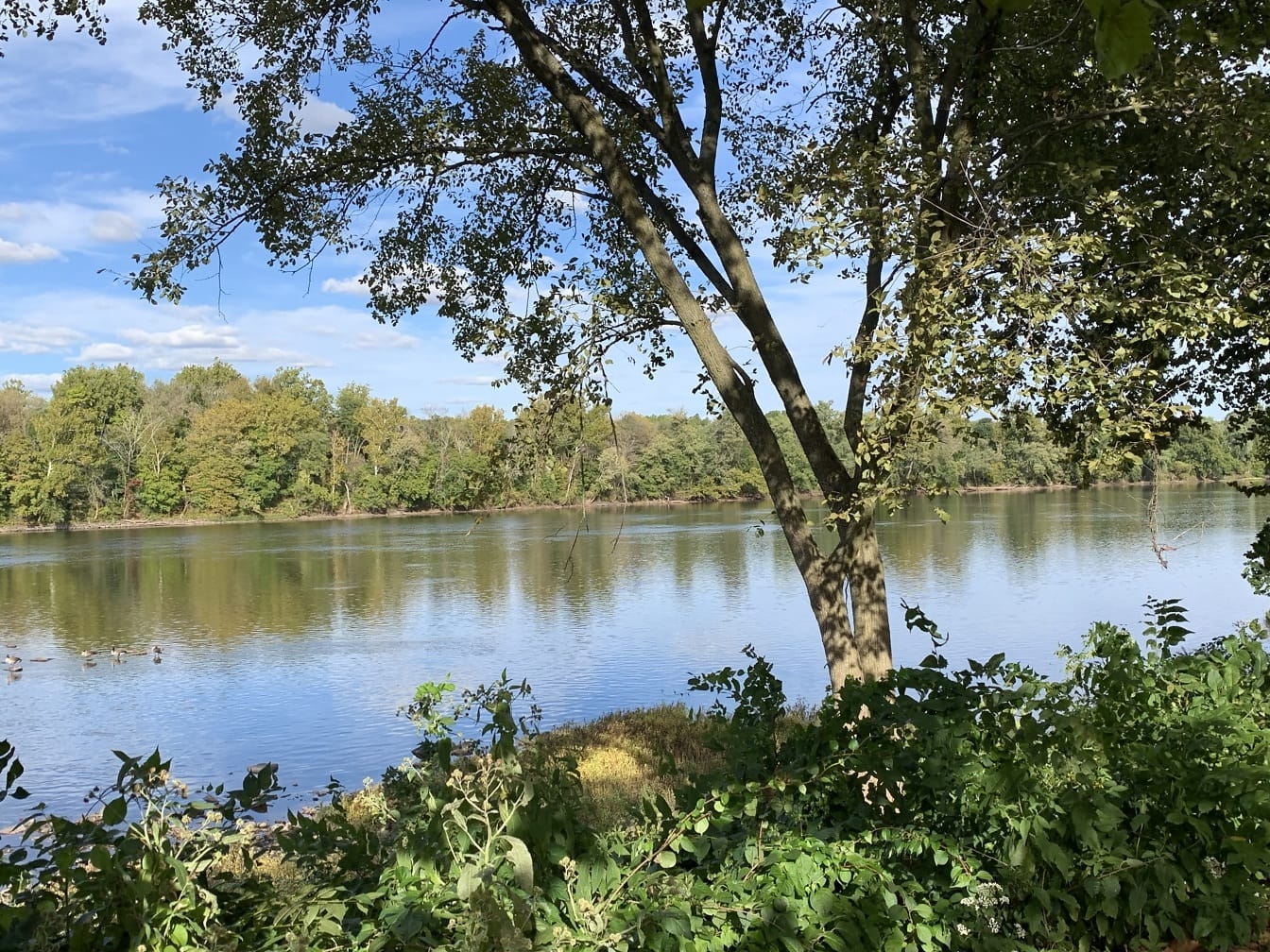 Pohľad na rieku Delaware z pobrežia z Langhorne v Pensylvánii koncom leta