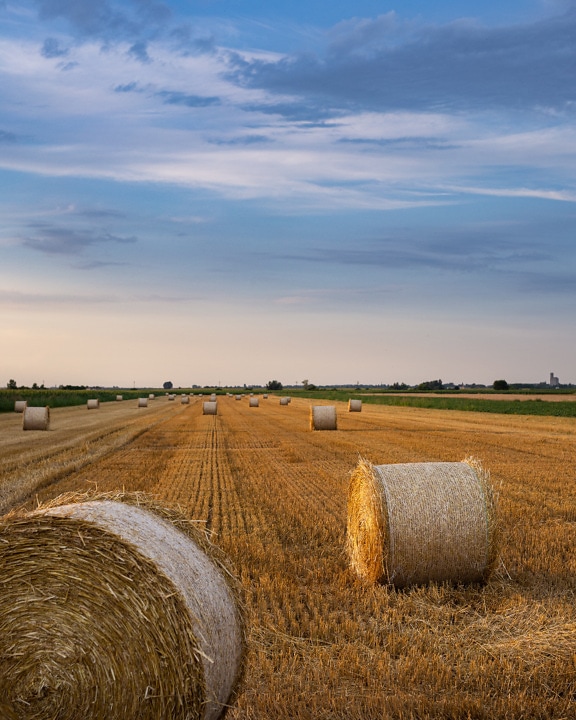 Круглый стог сена катится по пшеничному полю после сбора урожая
