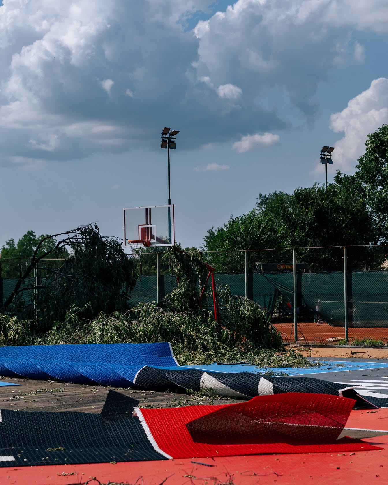 Orkaanwind beschadigt bomen en basketbalveld