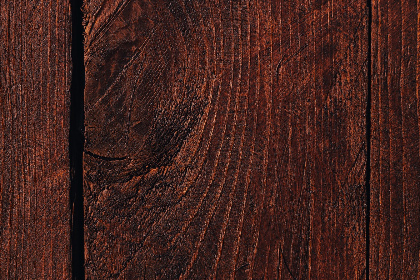 Coupe transversale d’une planche de chêne en bois dur avec peinture brune