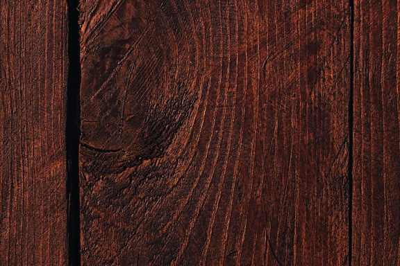 Cross section of hardwood oak plank with brown paint