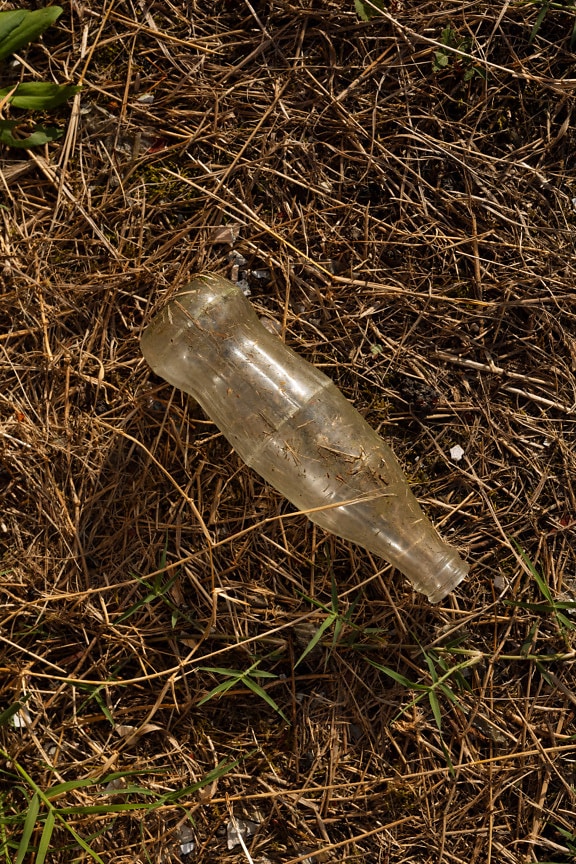 Gennemsigtig snavset plastflaske på jorden med tørt græs