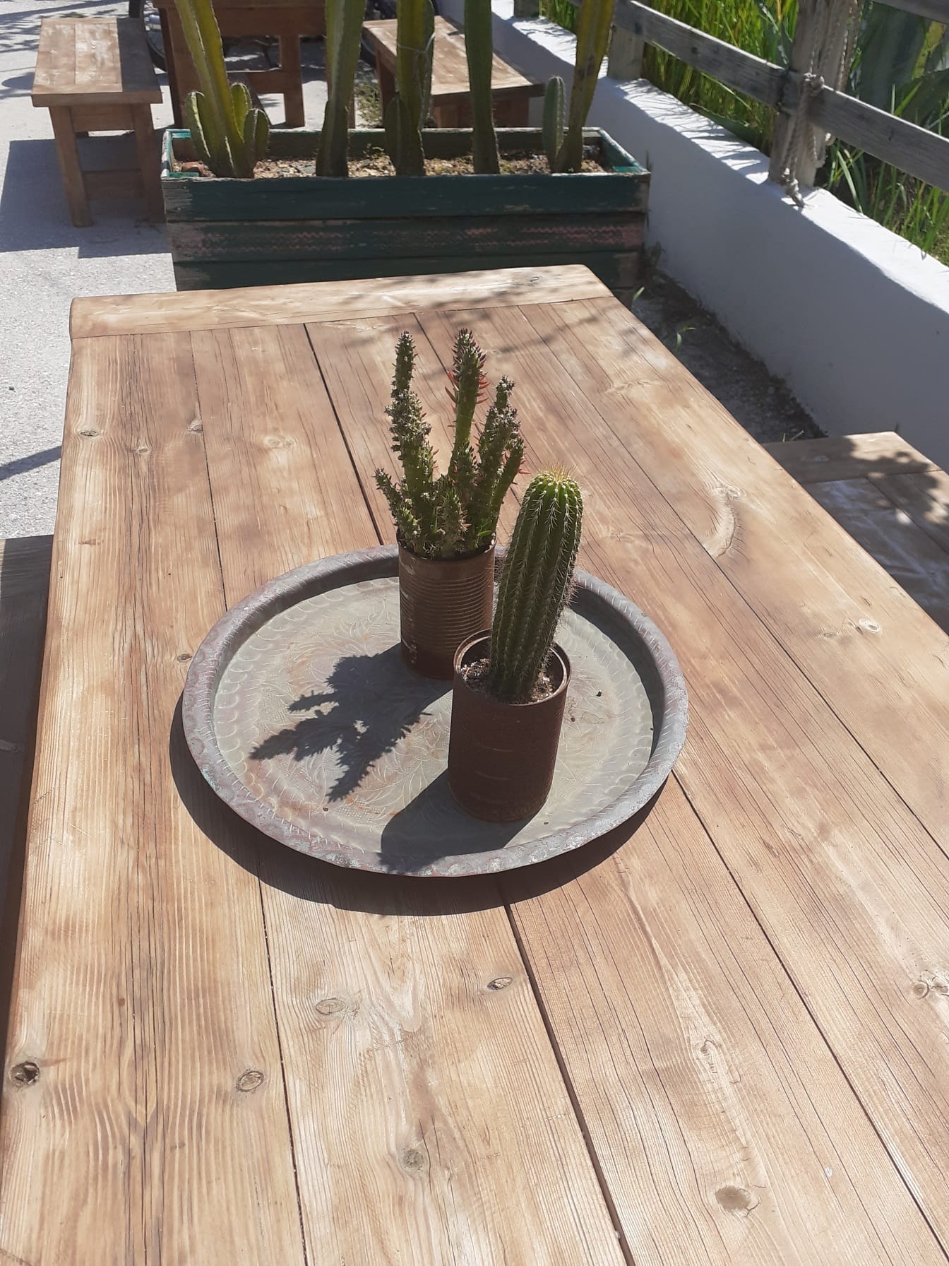 Kaktuskasvit puisella pöydällä ruostepeltipurkissa kukkaruukku
