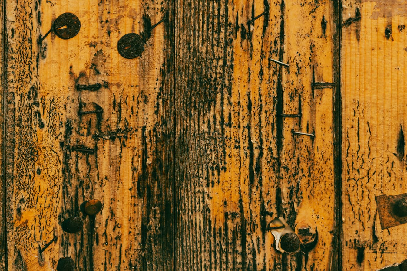 Bright yellowish old decay texture of wooden plank with rusty metal