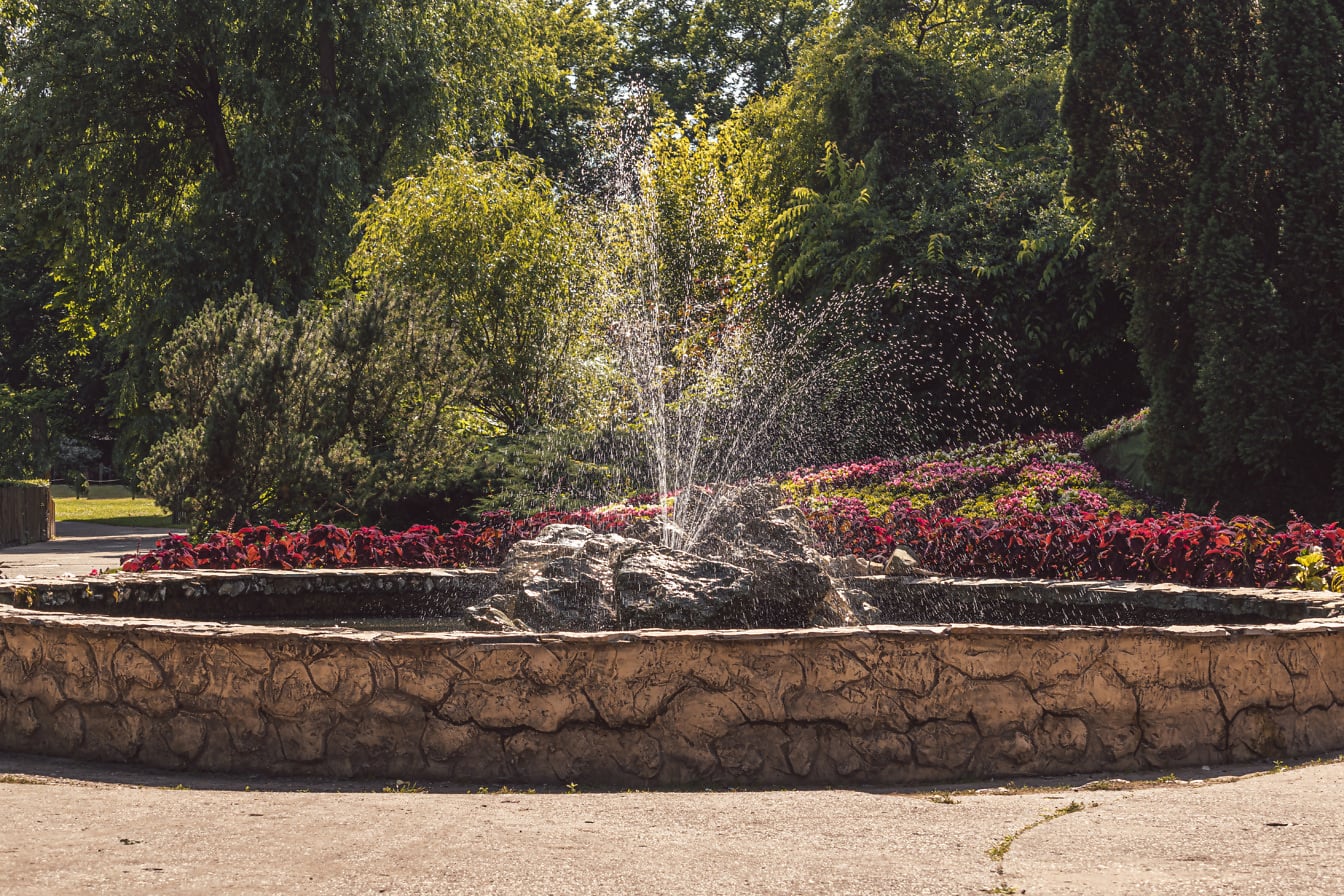 Đài phun nước với bức tường đá tròn trong vườn thực vật