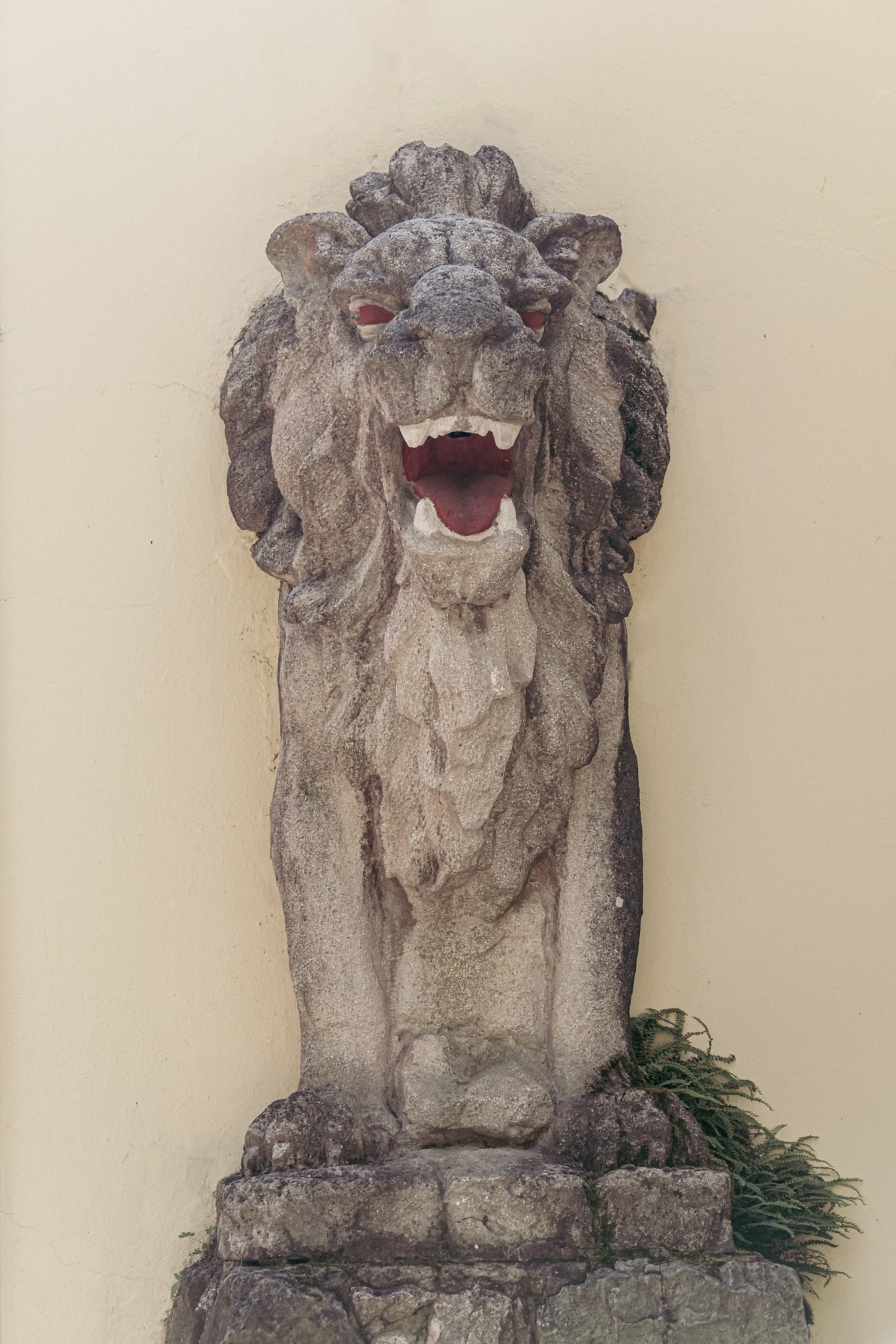 Concreet standbeeld van leeuw op muur
