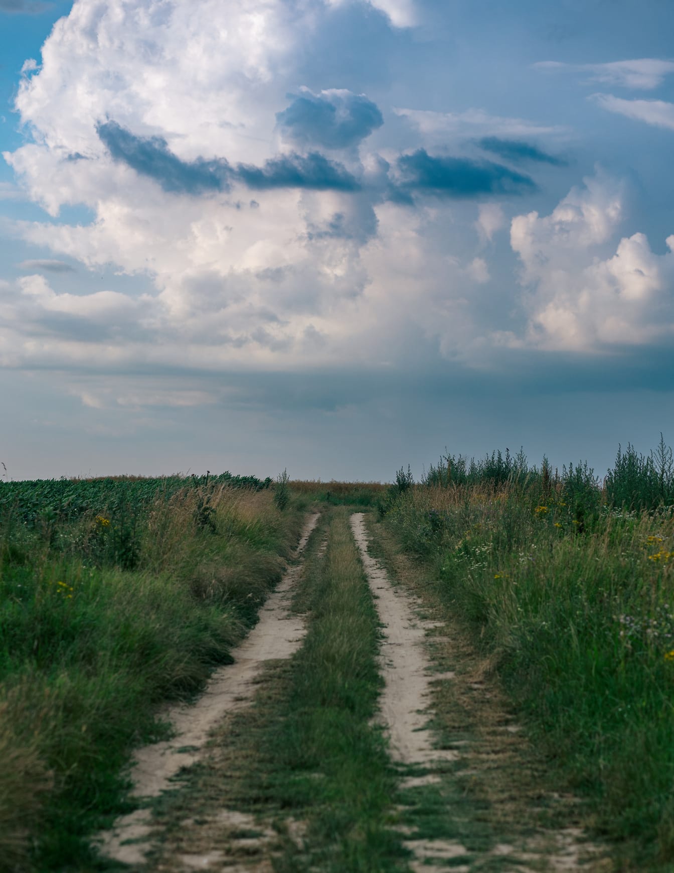 Camino de tierra en la cima de una colina cubierta de hierba en el campo rural con cielo azul