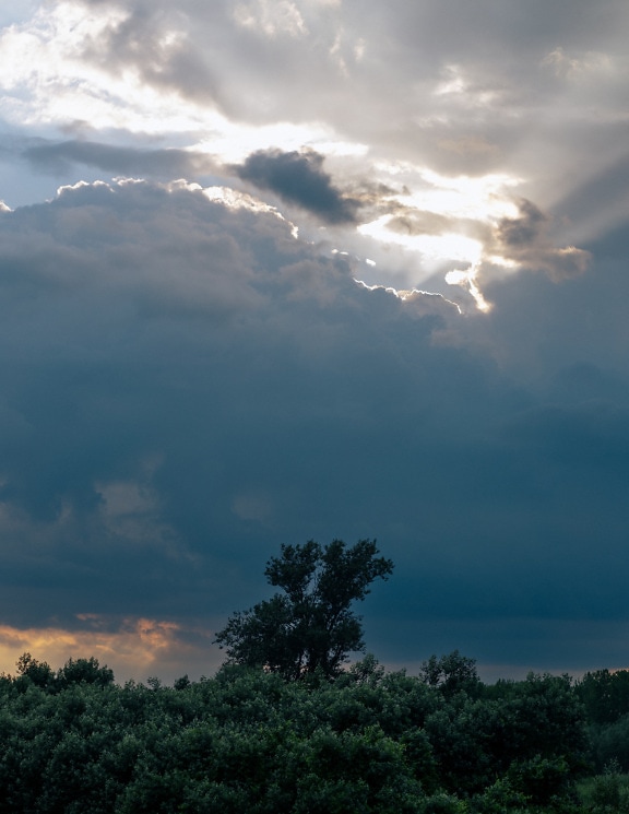 Tamnoplavi olujni oblaci sa sunčevim zrakama s drvećem