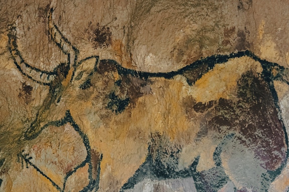 Cave painting drawing of animal on cave wall