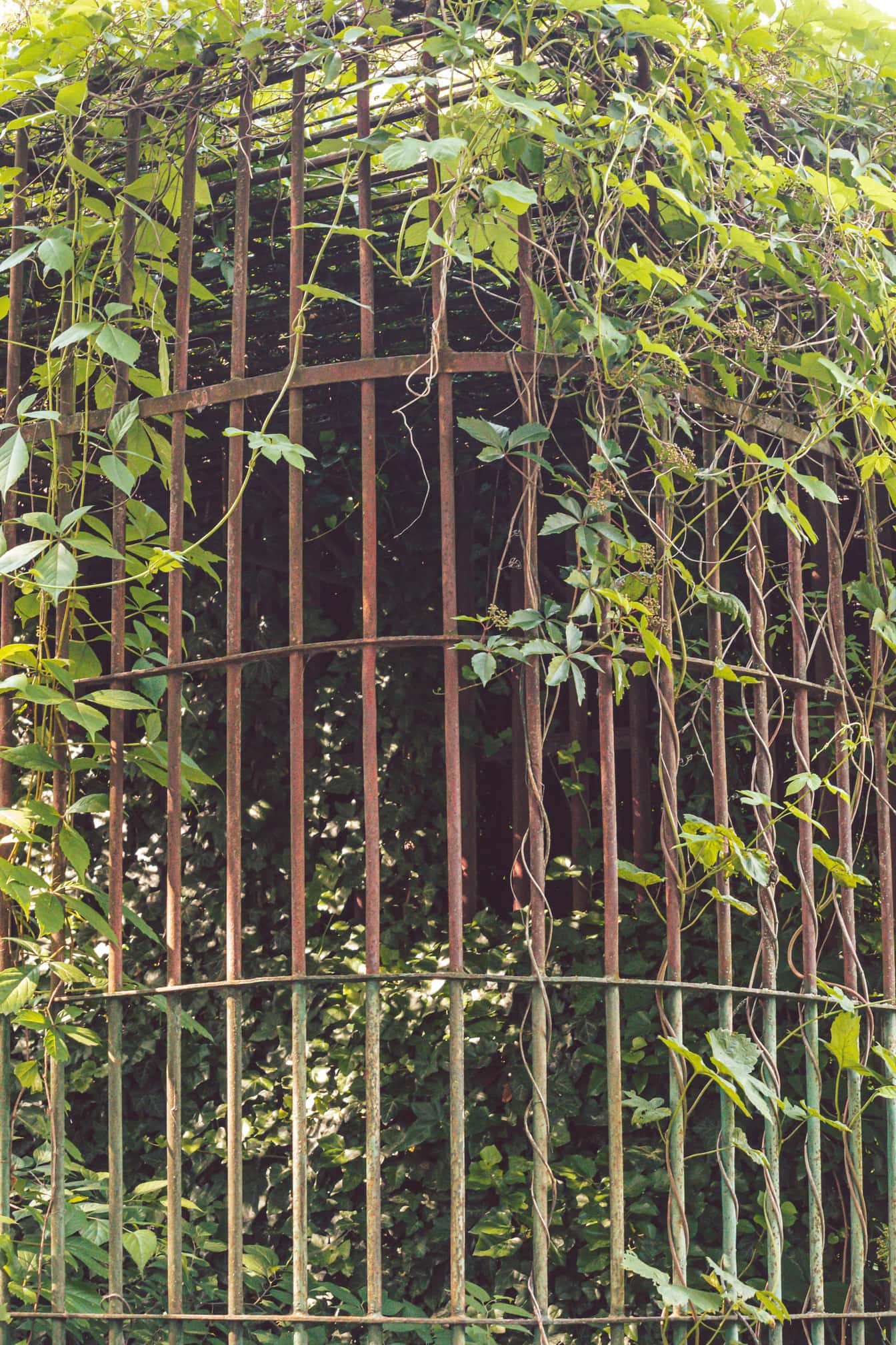 Vieja jaula de hierro fundido abandonada cubierta de ramas de maleza