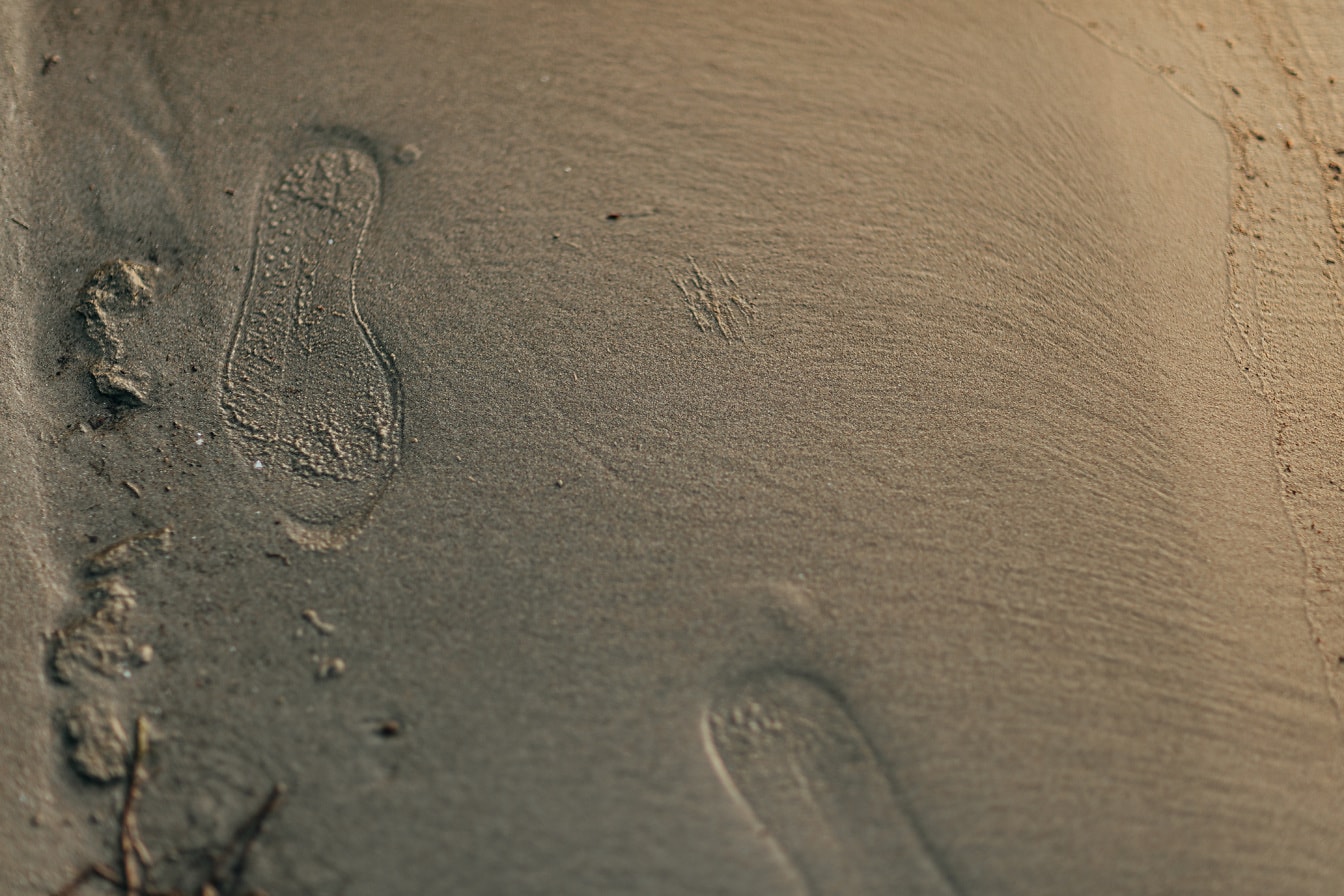 ビーチのクローズアップで濡れた砂の表面に足を踏み入れる