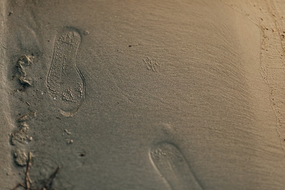 Footstep in on surface of wet sand on beach close-up