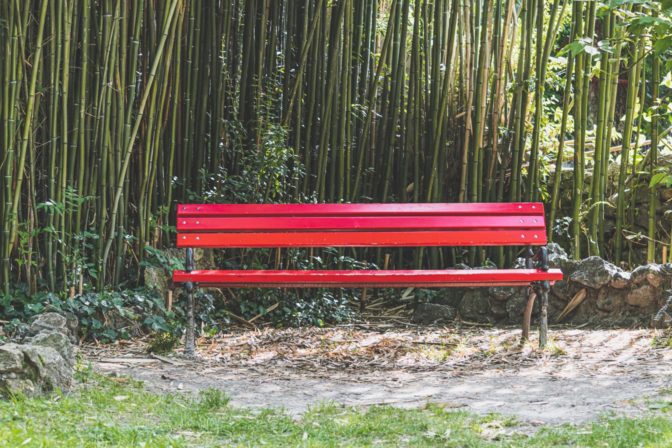 Banco de madeira vermelho escuro no jardim das árvores de bambu