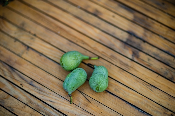 Three seeds of dark green paw-paw herb (Asimina triloba)