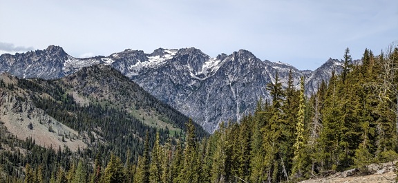 Fenyőerdő tavasszal a hegyek lejtőjén a nemzeti parkban