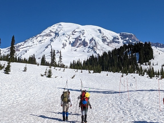 Two skiers climbing at snowy Mount Rainier national park at sunny day