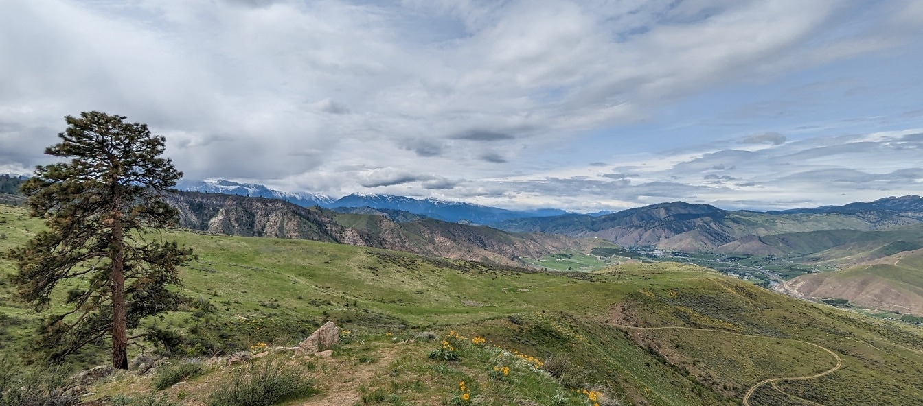 Majestætisk panoramaudsigt over grønne bjergskråninger i bjerge