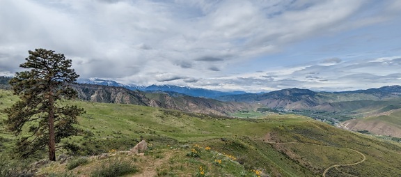 majestätisk, panoramautsikt över, Visa, bergen, sluttning, grön, högland