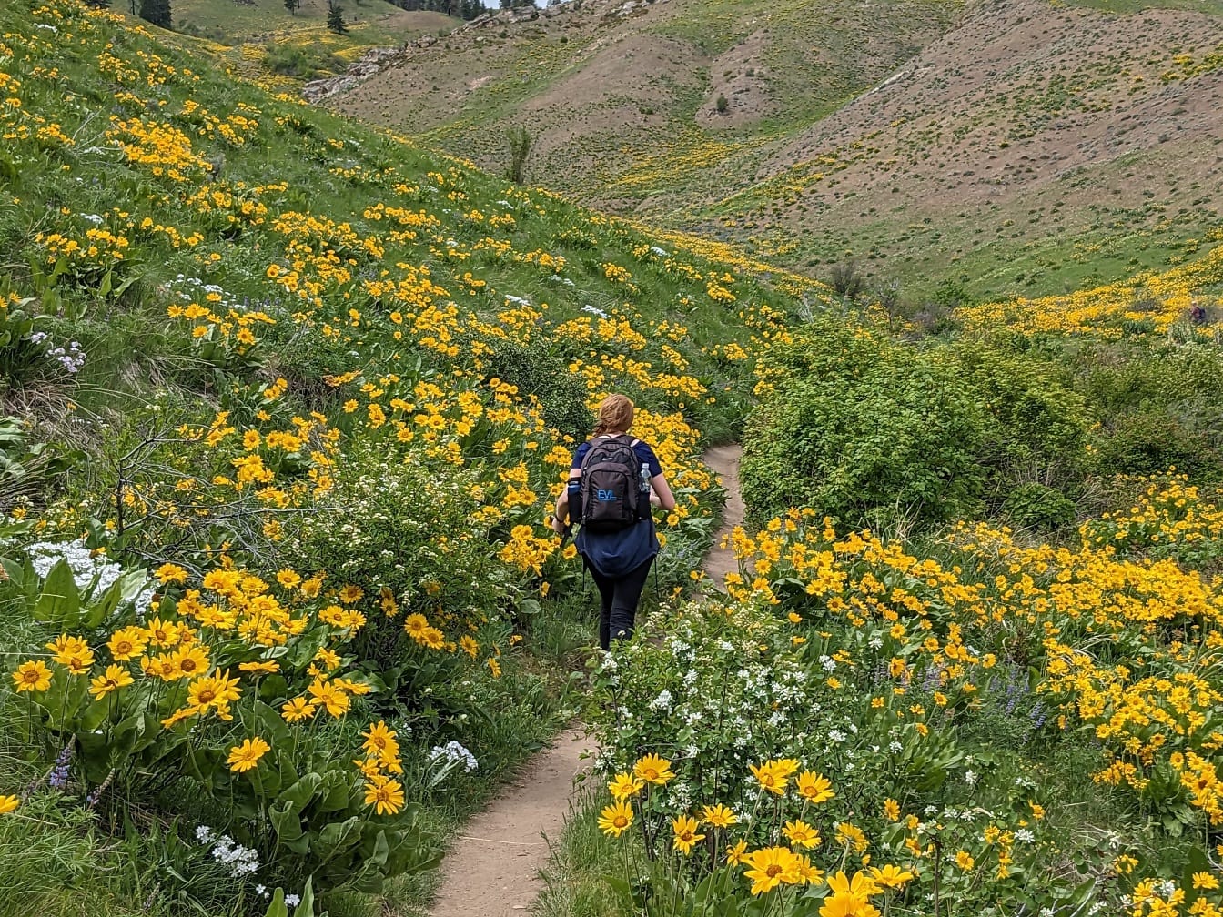 Jonge vrouw blond haar backpacker wandelen in vallei