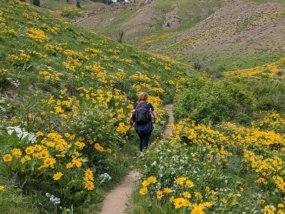 Young woman blonde hair backpacker hiking in valley