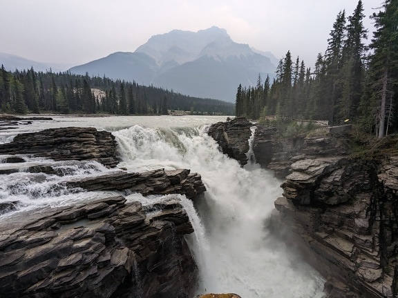 De watervallen rotsachtige rivier van Athabasca in nationaal park Canada