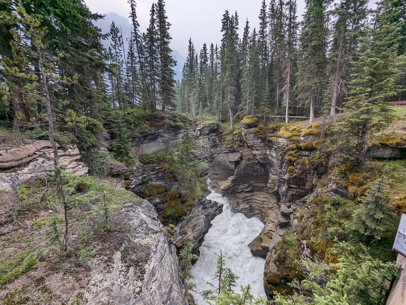 Skalnatá řeka v divočině Kanadského národního parku