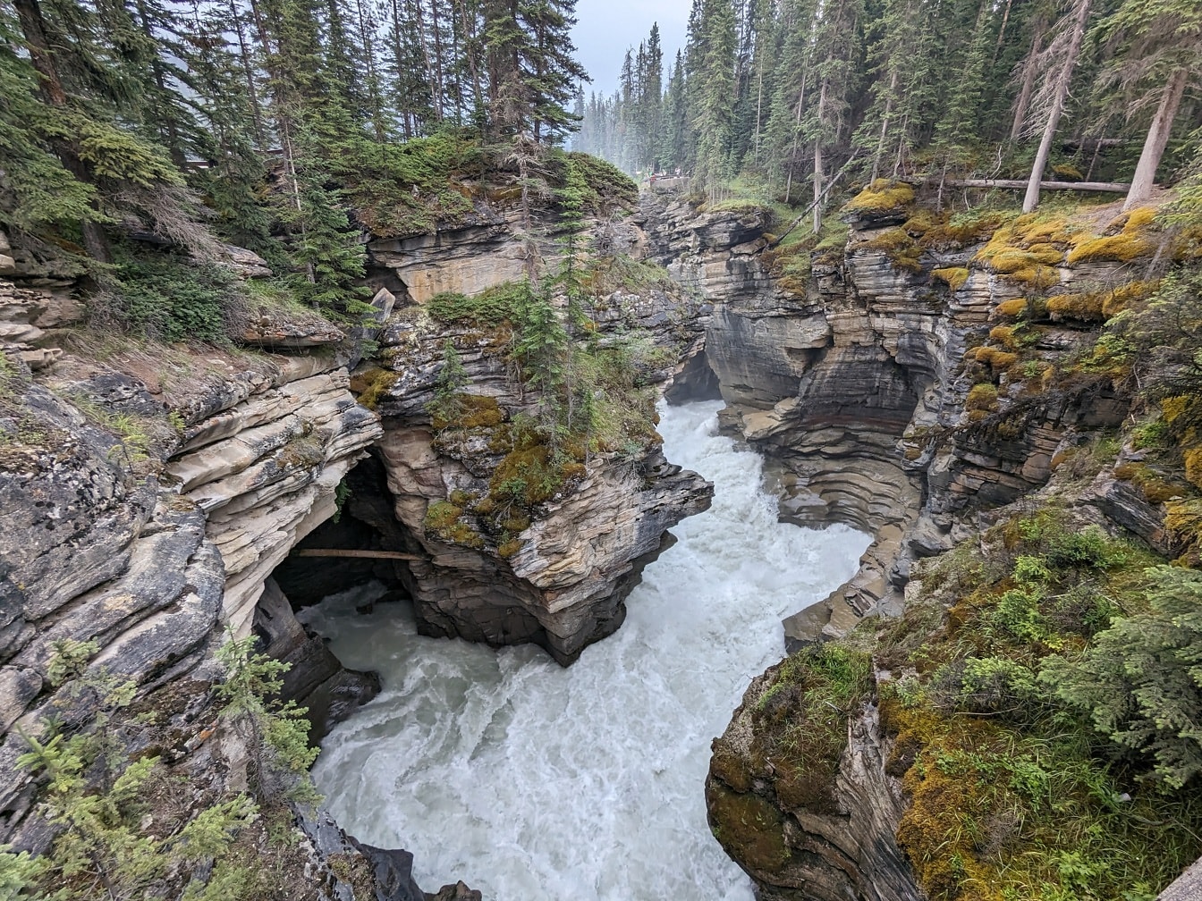 Canyon roccioso del fiume alle cascate di Athabasca nel parco nazionale