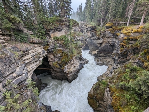 Rotsachtige riviercanyon bij Athabasca-watervallen in nationaal park