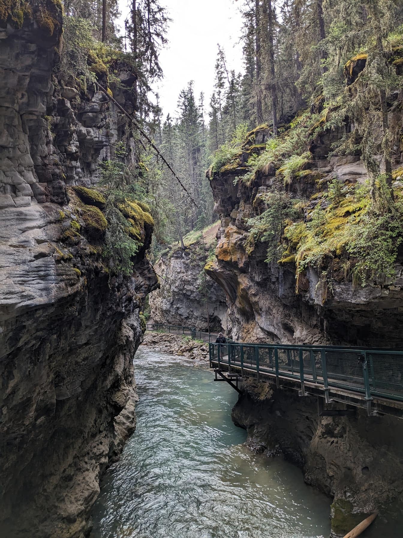 Sungai di ngarai Johnston di taman nasional Banff