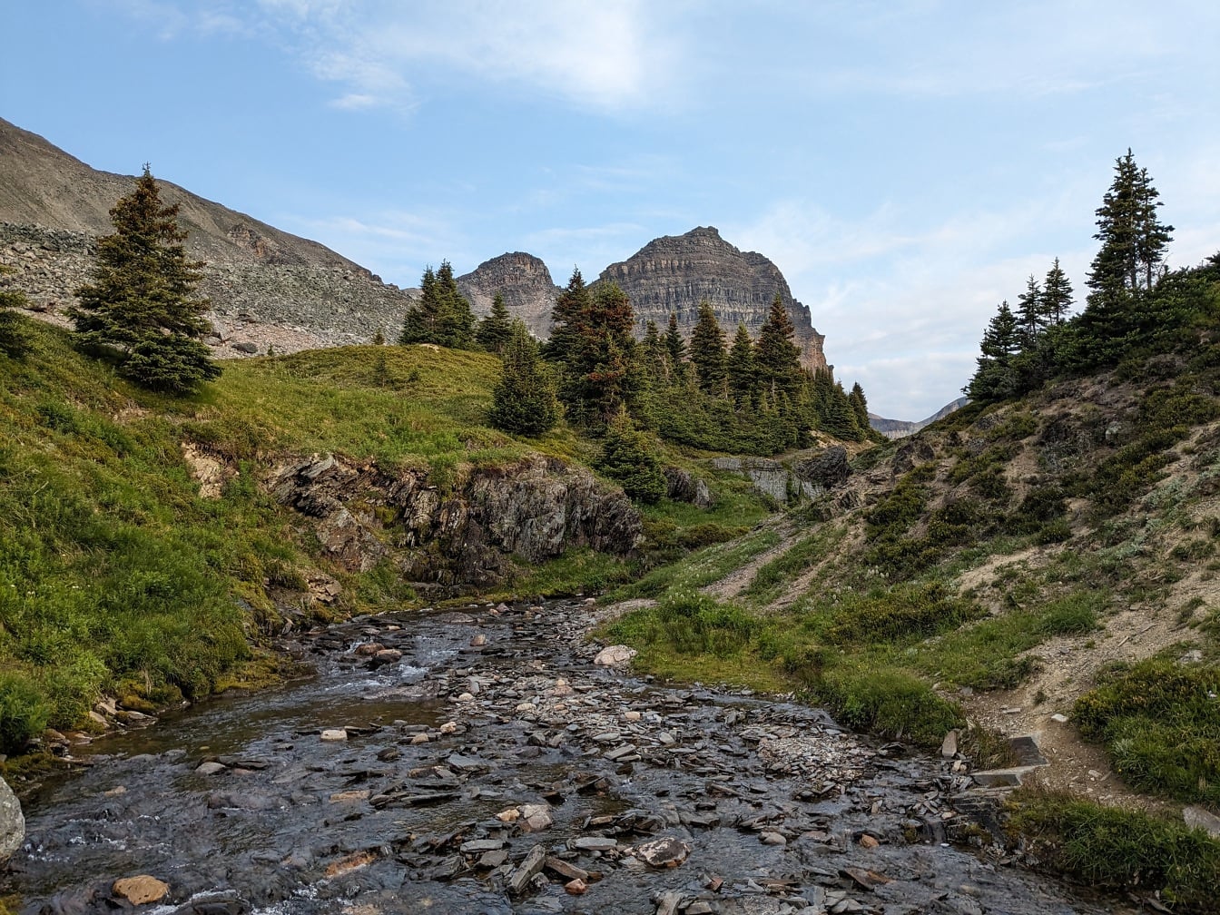 Maestoso scenico del fiume roccioso di montagna nel parco nazionale