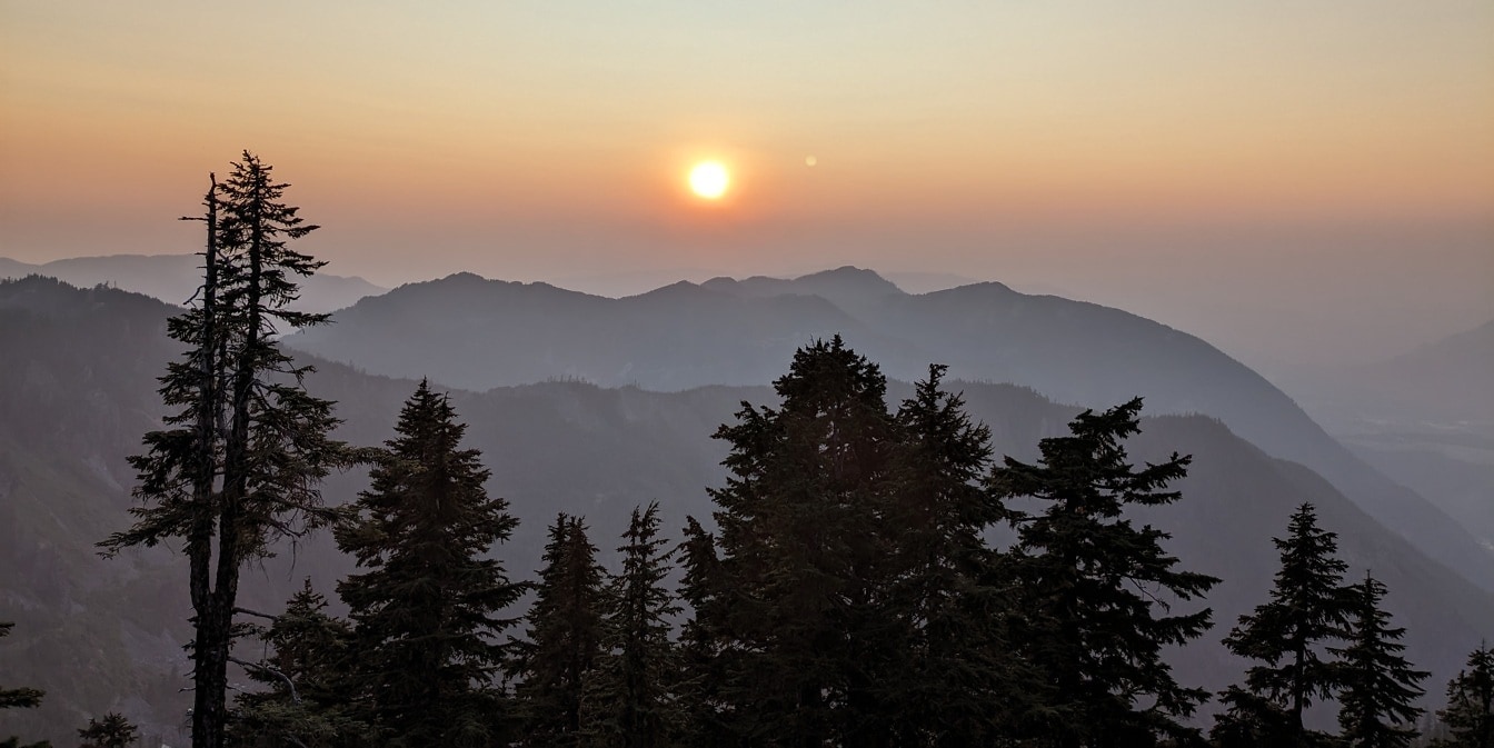 Ködös naplemente a hegyoldalban, tűlevelű fák sziluetjével