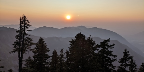 Nebliger Sonnenuntergang in den Bergen mit Nadelbäumen silhouete