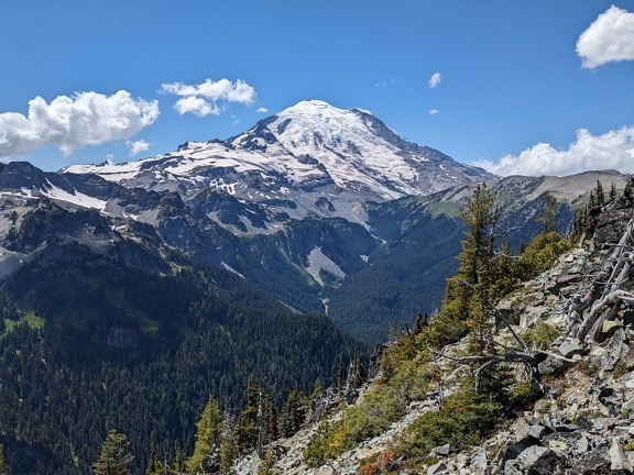 Panorama de la ladera de la montaña del parque nacional de los Estados Unidos de América