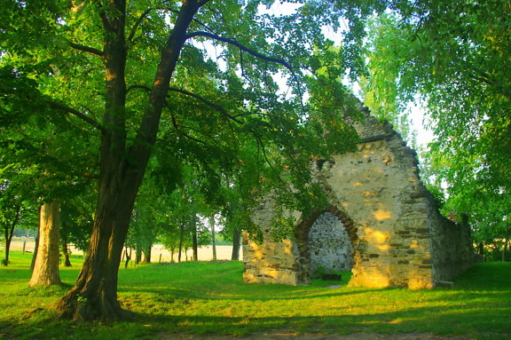 Ruine, verlassen, gotisch, Kirche, Landschaft, Gras, Bäume