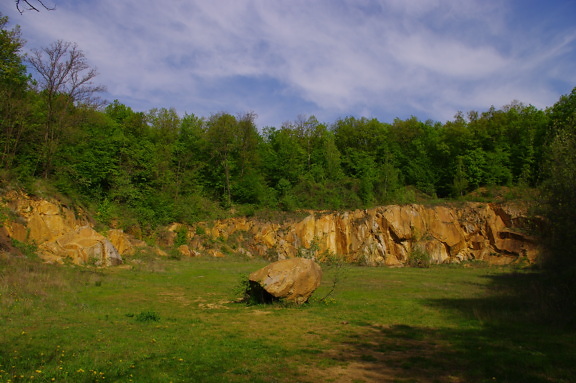 Yellowish brown stone boulder in wilderness national park