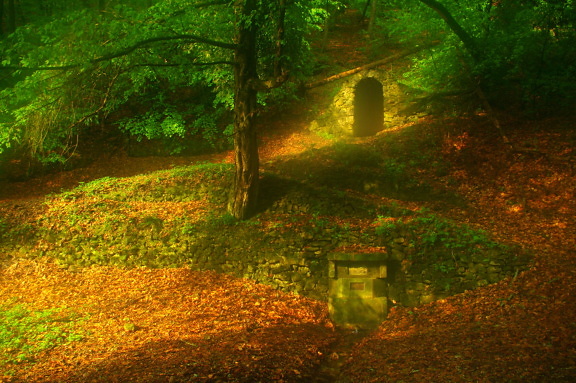 Forêt de conte de fées avec source d’eau en automne
